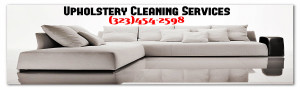 Upholstery Cleaning Services