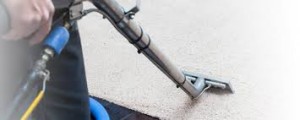 upholstery cleaning tarzana